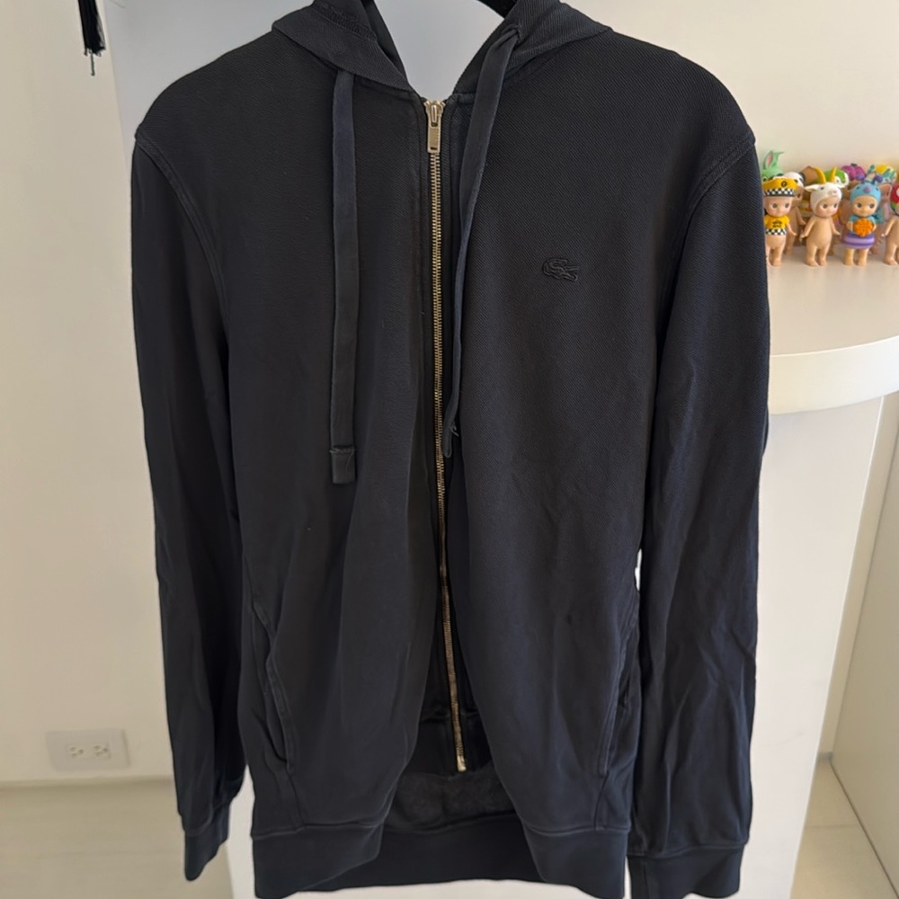 Lacoste Earnest Sewn hoodie